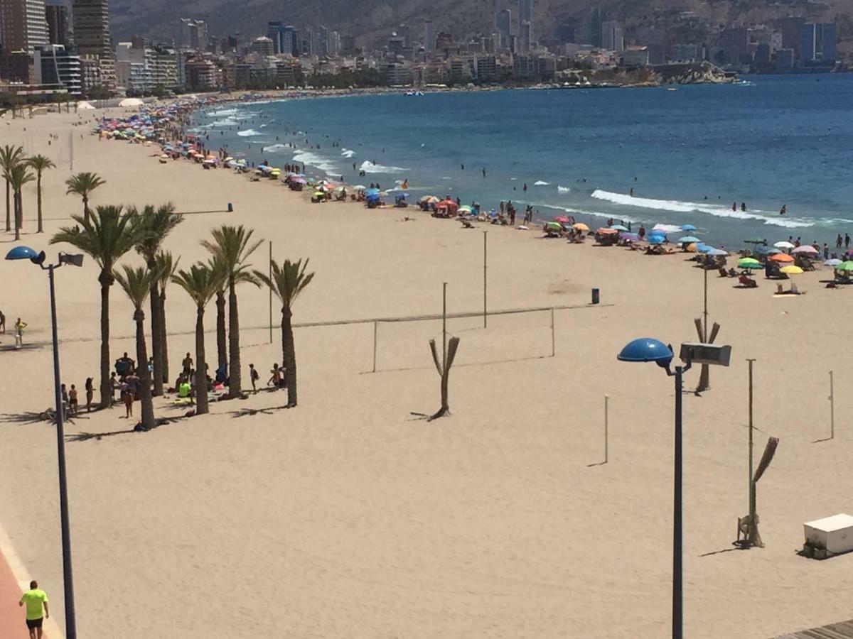 Triton 10A Lejlighed Benidorm Eksteriør billede